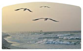 DACRO-126 Going Home (Seascape)